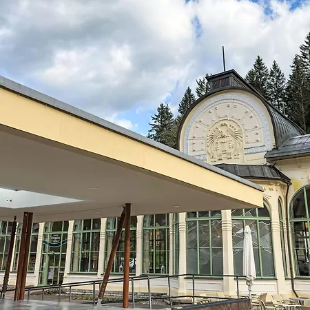 Apartmán Jansky Potok I-1 By Interhome Janské Lázně