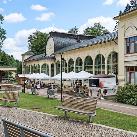 Apartmán Jansky Potok I-1 By Interhome Janské Lázně